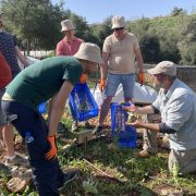 Farm_help2